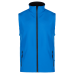 AVEO VEST